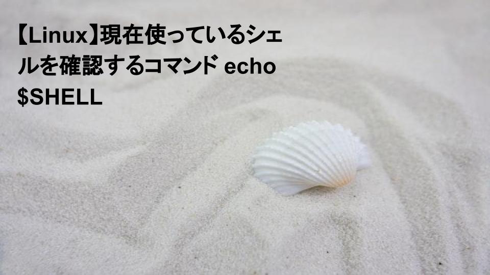 使っているシェルを確認する方法 echo $shell